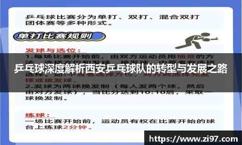 乒乓球深度解析西安乒乓球队的转型与发展之路